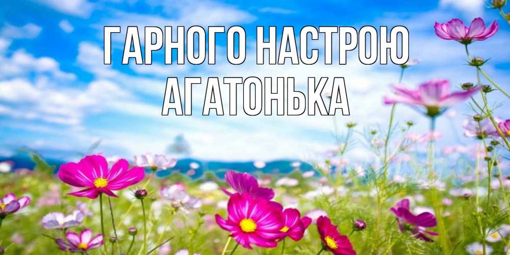 Открытка на каждый день з підписом, Агатонька Гарного настрою поле цветов Прикольна листівка з побажанням онлайн скачати безкоштовно 