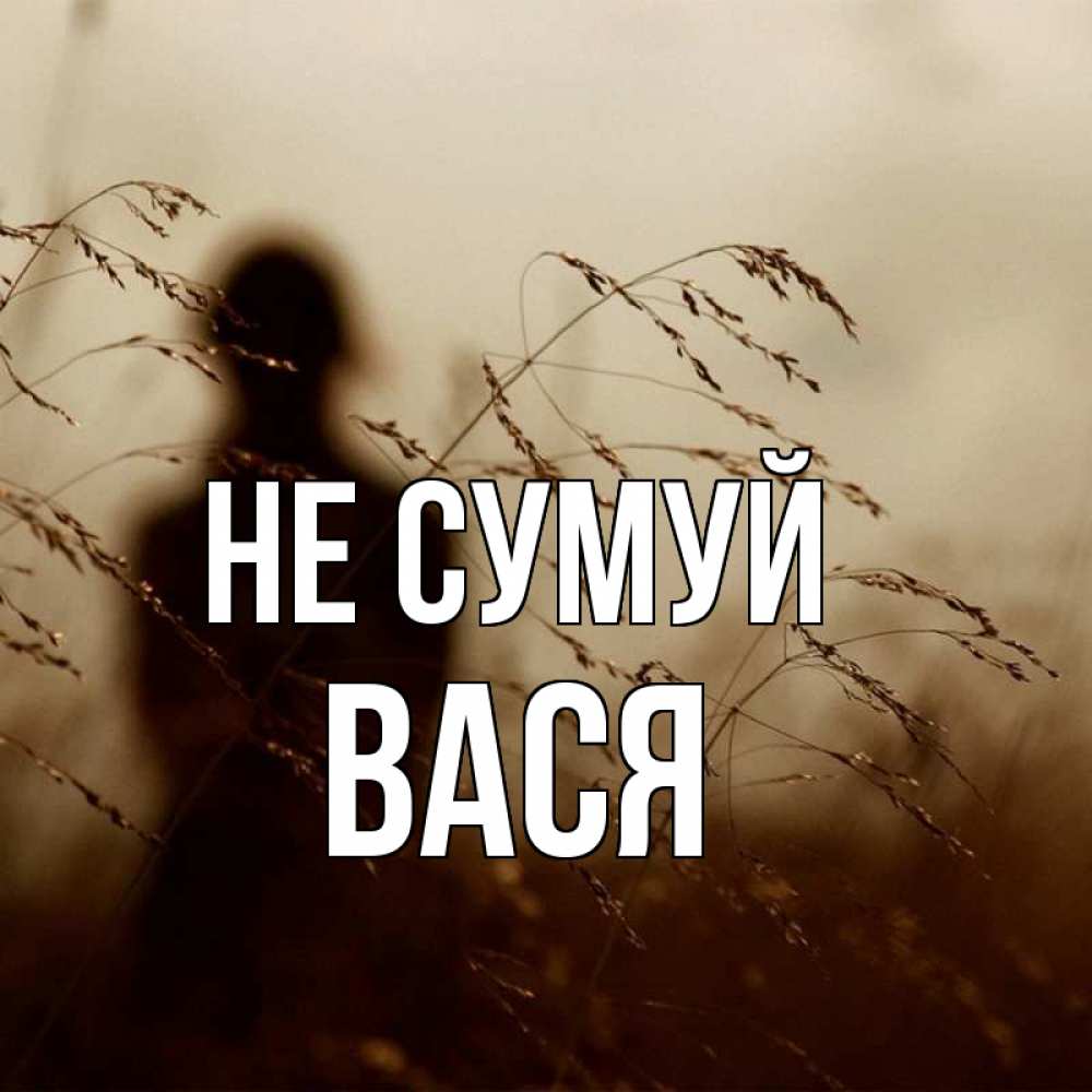 Открытка на каждый день з підписом, Вася Не сумуй грусть Прикольна листівка з побажанням онлайн скачати безкоштовно 