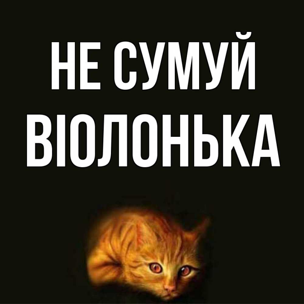 Открытка на каждый день з підписом, Віолонька Не сумуй лежащий кот в темноте Прикольна листівка з побажанням онлайн скачати безкоштовно 