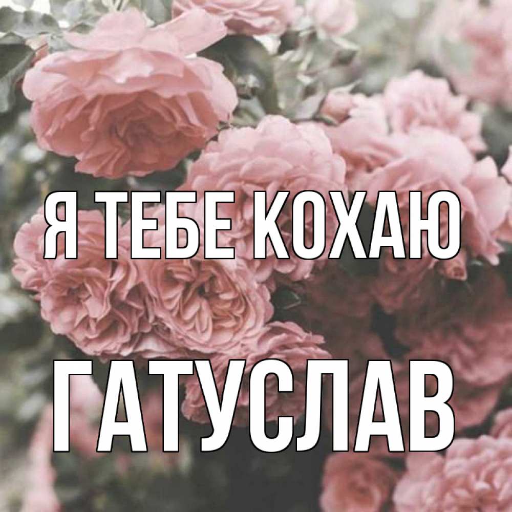 Открытка на каждый день з підписом, Гатуслав Я тебе кохаю розы 3 Прикольна листівка з побажанням онлайн скачати безкоштовно 