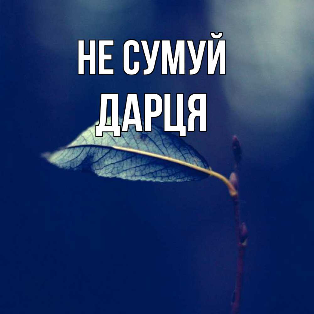 Открытка на каждый день з підписом, Дарця Не сумуй растение Прикольна листівка з побажанням онлайн скачати безкоштовно 