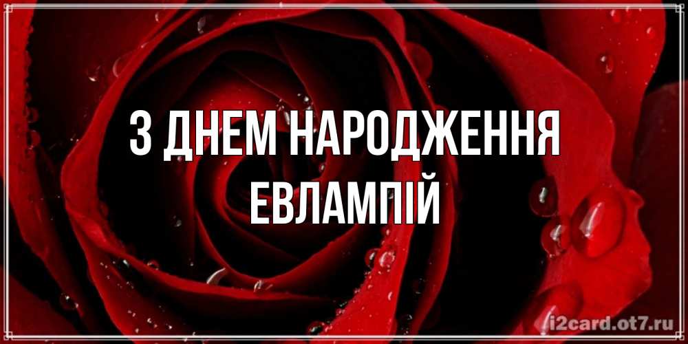 Открытка на каждый день з підписом, Евлампій З Днем народження крупная бордовая роза Прикольна листівка з побажанням онлайн скачати безкоштовно 
