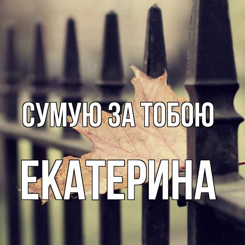 Открытка на каждый день з підписом, Екатерина Сумую за тобою очень скучно Прикольна листівка з побажанням онлайн скачати безкоштовно 