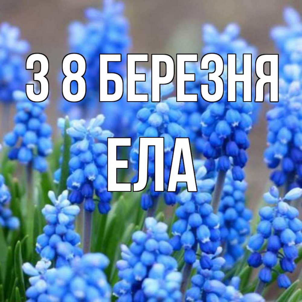 Открытка на каждый день з підписом, Ела З 8 БЕРЕЗНЯ Поздравительная открытка для женщин с цветами на праздничную дату Прикольна листівка з побажанням онлайн скачати безкоштовно 