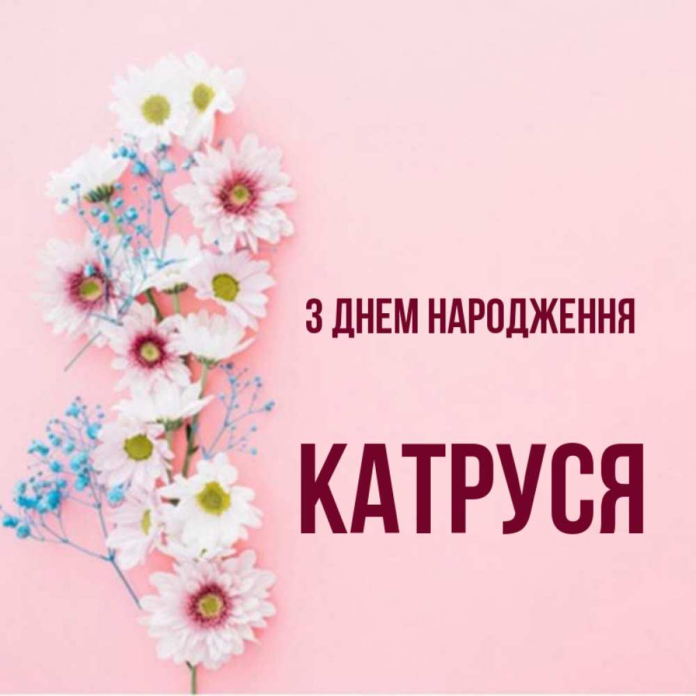 Открытка на каждый день з підписом, Катруся З Днем народження Родная моя с днем рождения тебя картинка с цветами белыми и голубыми Прикольна листівка з побажанням онлайн скачати безкоштовно 