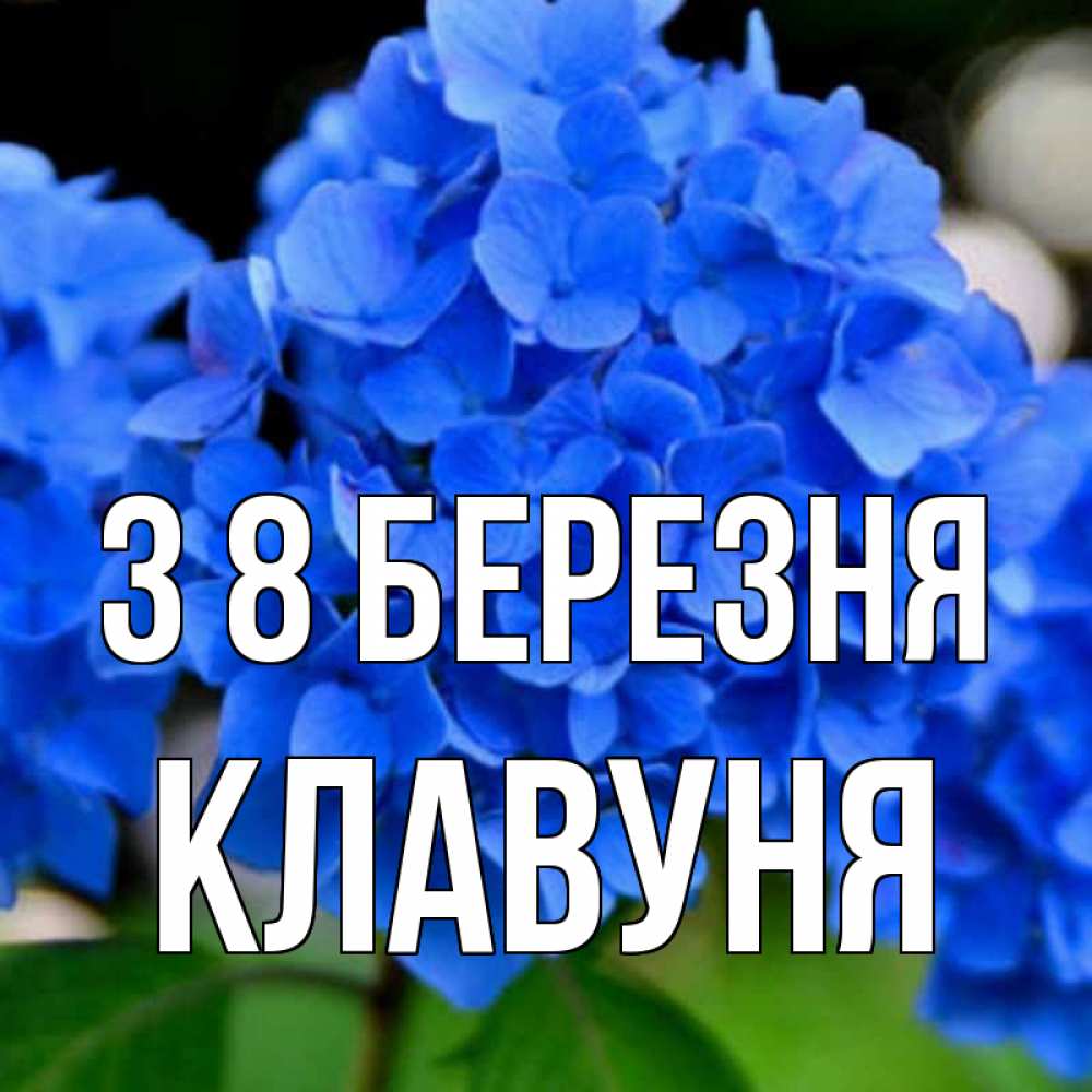 Открытка на каждый день з підписом, Клавуня З 8 БЕРЕЗНЯ синие цветы Прикольна листівка з побажанням онлайн скачати безкоштовно 
