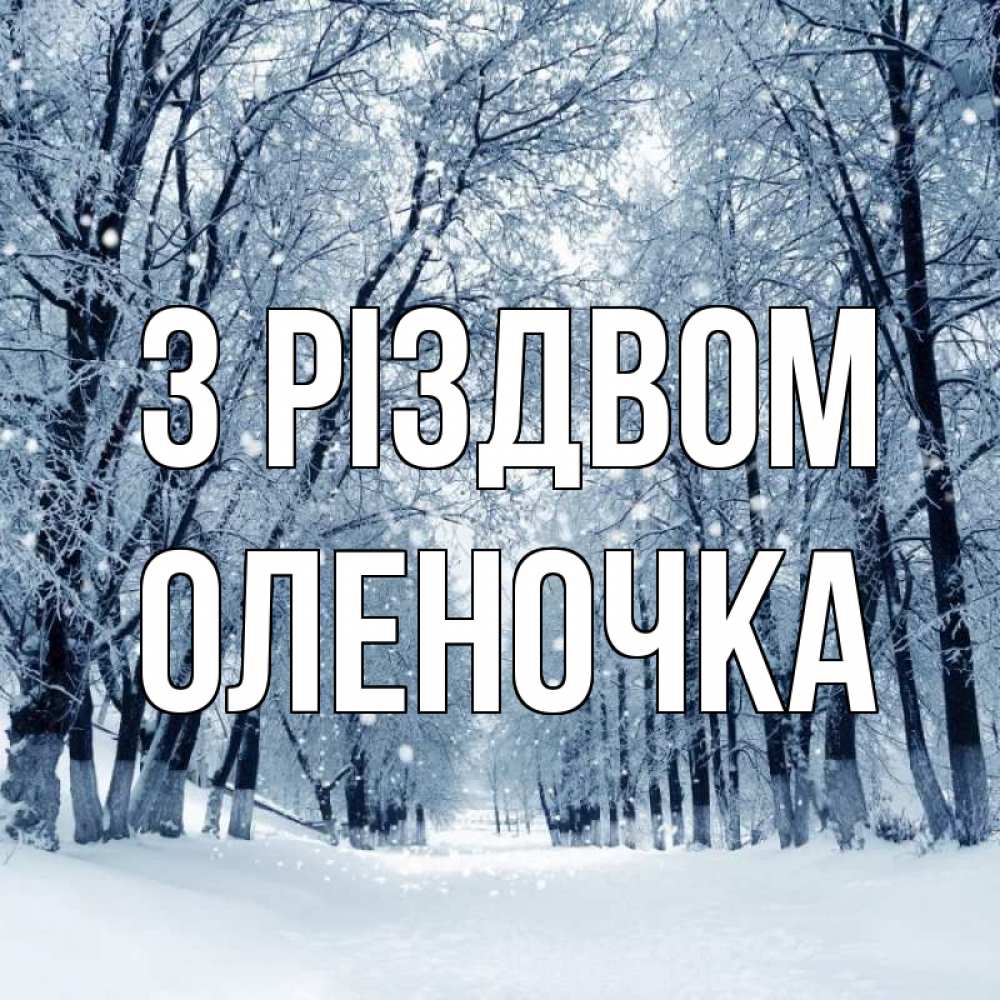 Открытка на каждый день з підписом, Оленочка З Різдвом снег, лес, парк Прикольна листівка з побажанням онлайн скачати безкоштовно 