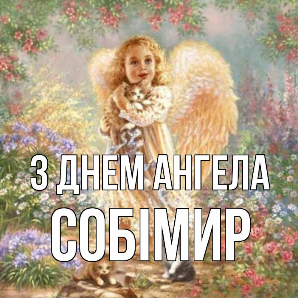 Открытка на каждый день з підписом, Собімир З Днем ангела держит котенка Прикольна листівка з побажанням онлайн скачати безкоштовно 