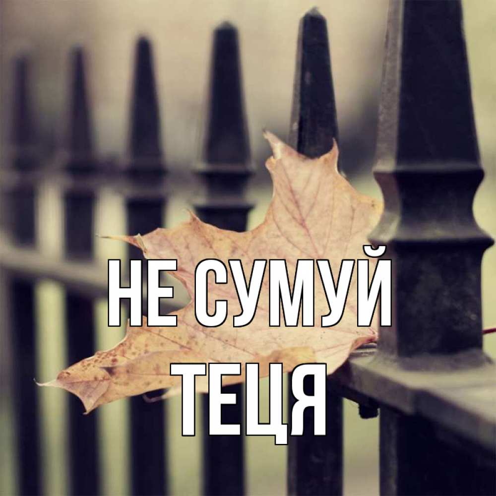Открытка на каждый день з підписом, Теця Не сумуй лист клена Прикольна листівка з побажанням онлайн скачати безкоштовно 