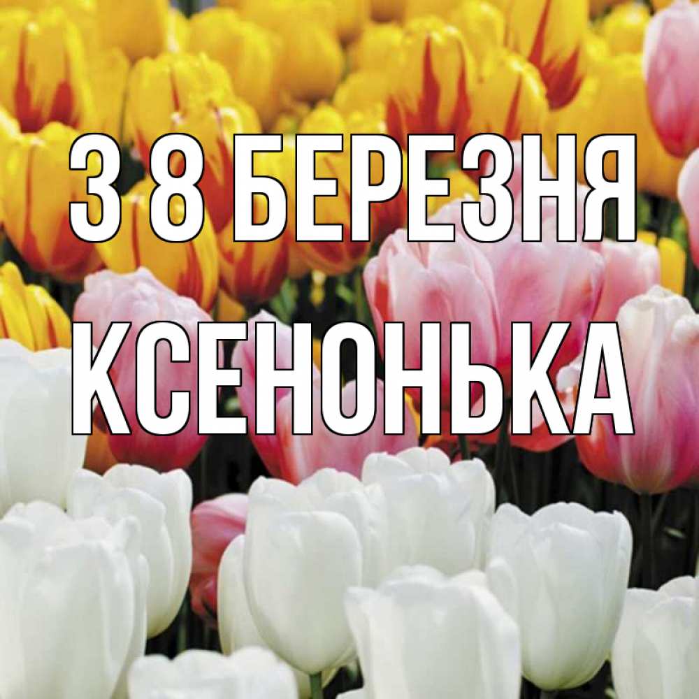 Открытка на каждый день з підписом, Ксенонька З 8 БЕРЕЗНЯ разноцветные цветы Прикольна листівка з побажанням онлайн скачати безкоштовно 