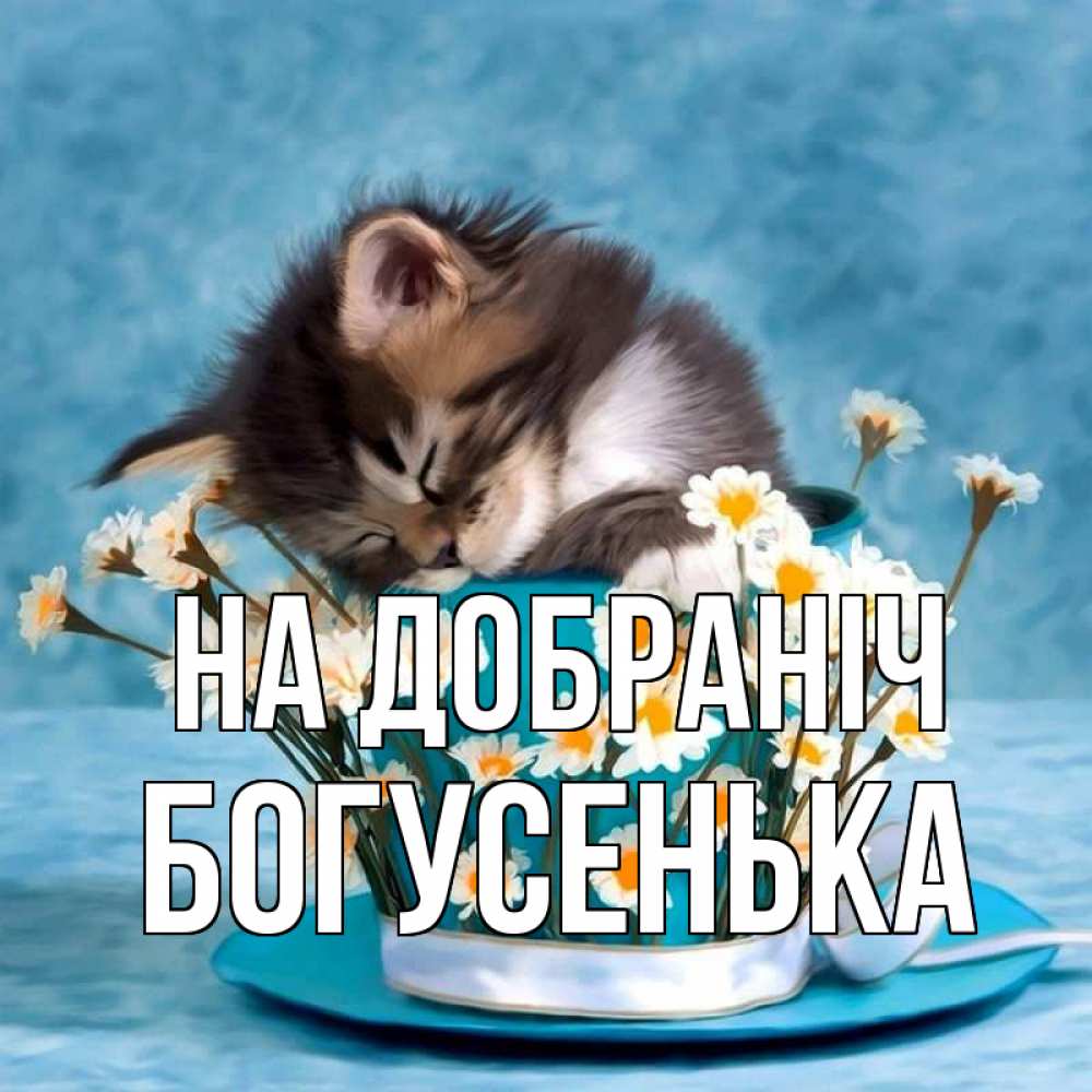 Открытка на каждый день з підписом, Богусенька На добраніч котенок спит в кружке с блюдцем Прикольна листівка з побажанням онлайн скачати безкоштовно 