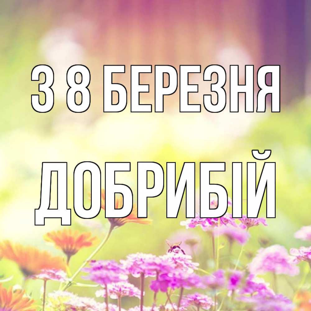 Открытка на каждый день з підписом, Добрибій З 8 БЕРЕЗНЯ цветы весна Прикольна листівка з побажанням онлайн скачати безкоштовно 