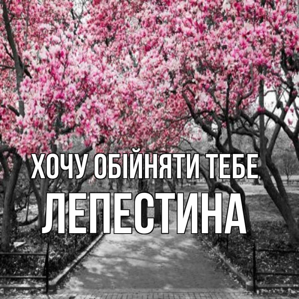 Открытка на каждый день з підписом, Лепестина Хочу обійняти тебе обработанное фото Прикольна листівка з побажанням онлайн скачати безкоштовно 