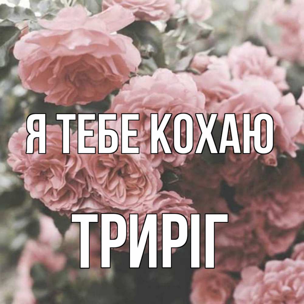 Открытка на каждый день з підписом, Триріг Я тебе кохаю розы 3 Прикольна листівка з побажанням онлайн скачати безкоштовно 