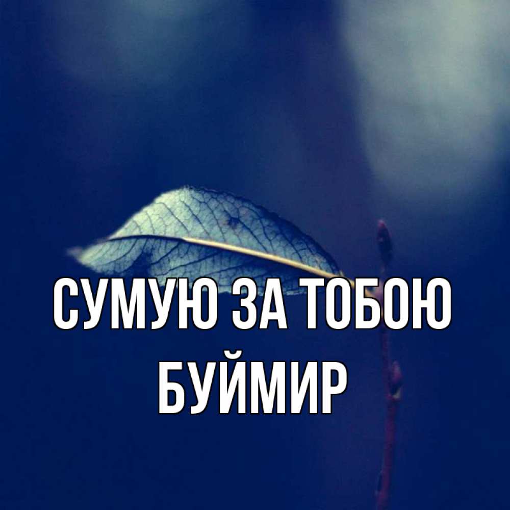 Открытка на каждый день з підписом, Буймир Сумую за тобою одна ветка 1 Прикольна листівка з побажанням онлайн скачати безкоштовно 