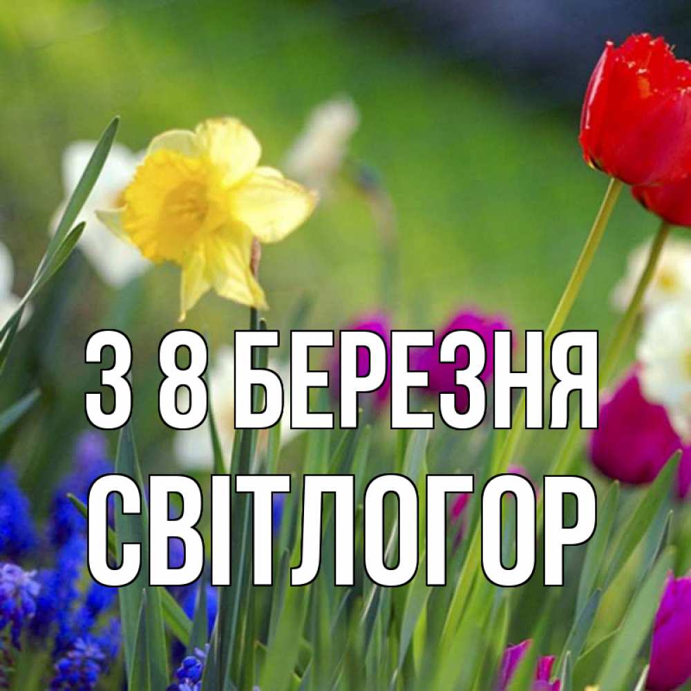 Открытка на каждый день з підписом, Світлогор З 8 БЕРЕЗНЯ международный женский день 3 Прикольна листівка з побажанням онлайн скачати безкоштовно 