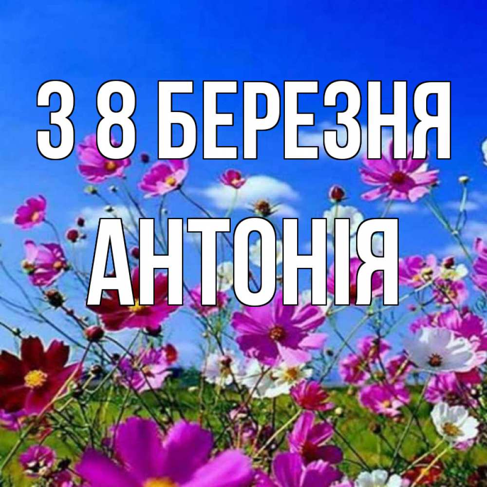 Открытка на каждый день з підписом, Антонія З 8 БЕРЕЗНЯ цветы Прикольна листівка з побажанням онлайн скачати безкоштовно 