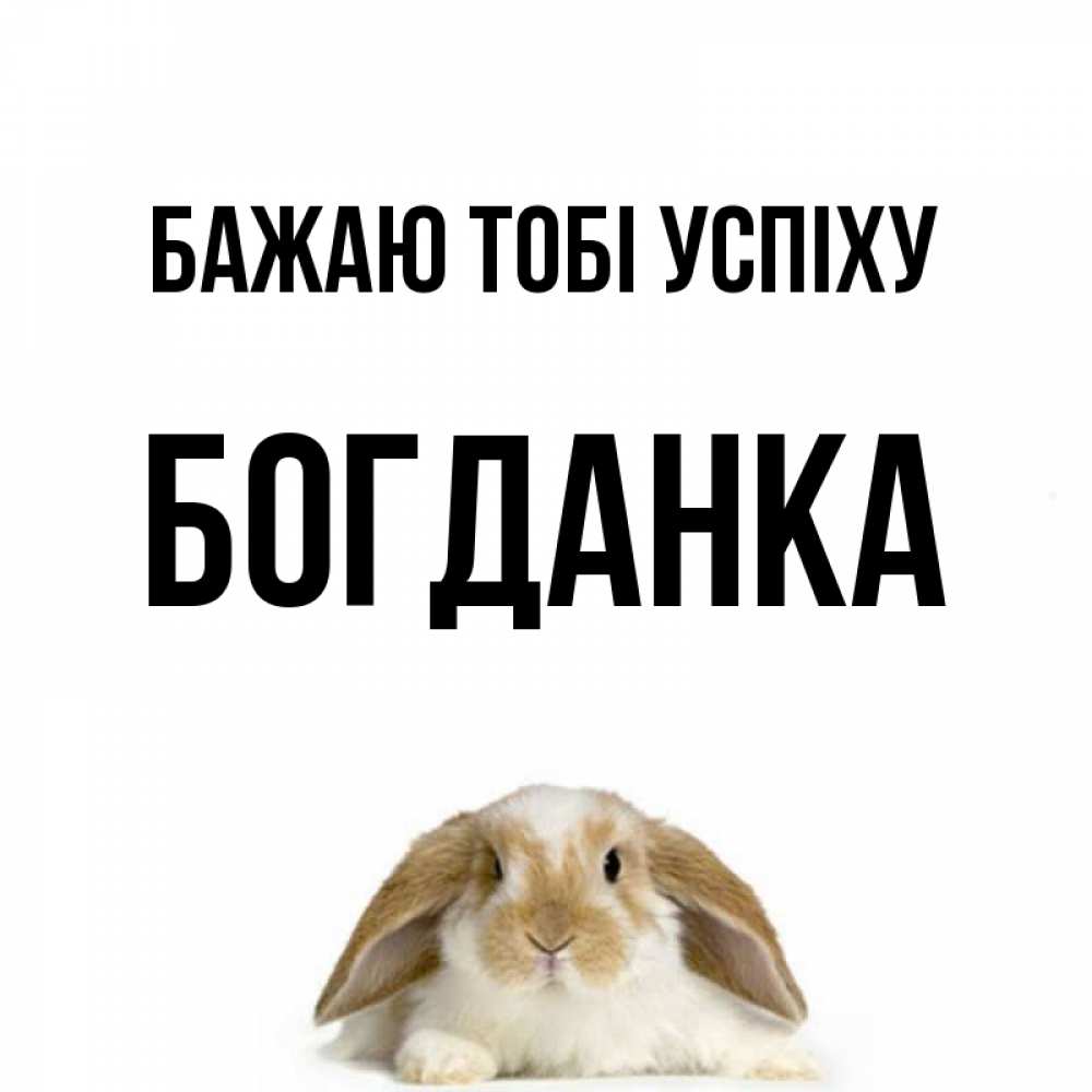 Открытка на каждый день з підписом, Богданка Бажаю тобі успіху открытки с произвольным текстом который можно вставить в открытку и создать ее самостоятельно бесплатно онлайн Прикольна листівка з побажанням онлайн скачати безкоштовно 