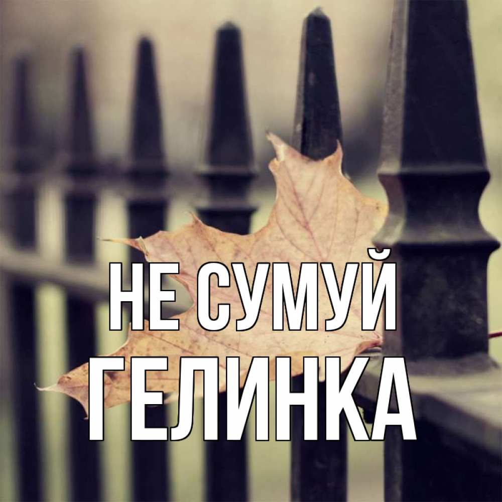 Открытка на каждый день з підписом, Гелинка Не сумуй лист клена Прикольна листівка з побажанням онлайн скачати безкоштовно 