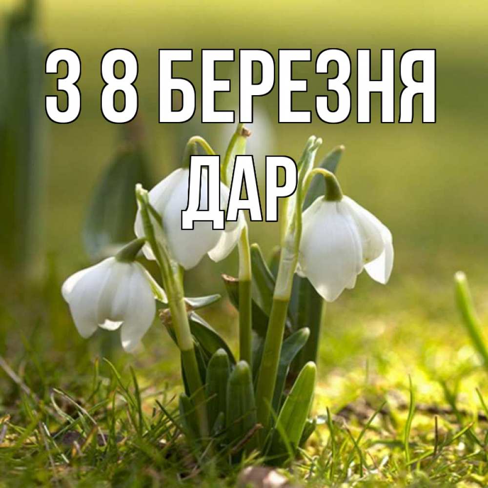 Открытка на каждый день з підписом, Дар З 8 БЕРЕЗНЯ ранние цветы 2 Прикольна листівка з побажанням онлайн скачати безкоштовно 