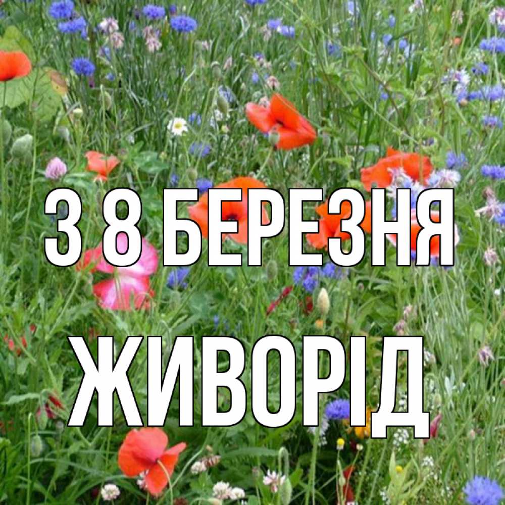 Открытка на каждый день з підписом, Живорід З 8 БЕРЕЗНЯ международный женский день 4 Прикольна листівка з побажанням онлайн скачати безкоштовно 
