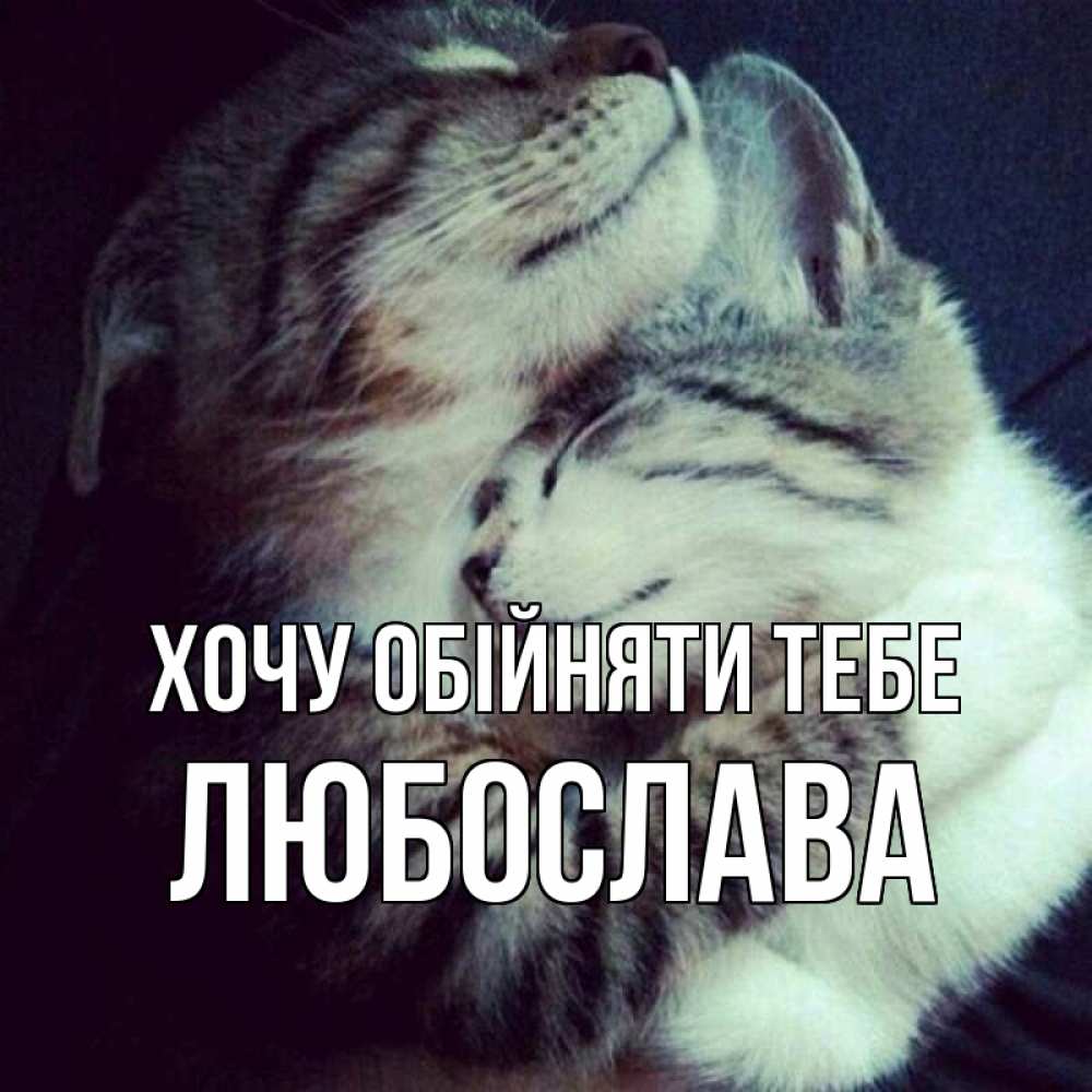 Открытка на каждый день з підписом, Любослава Хочу обійняти тебе полосатики Прикольна листівка з побажанням онлайн скачати безкоштовно 