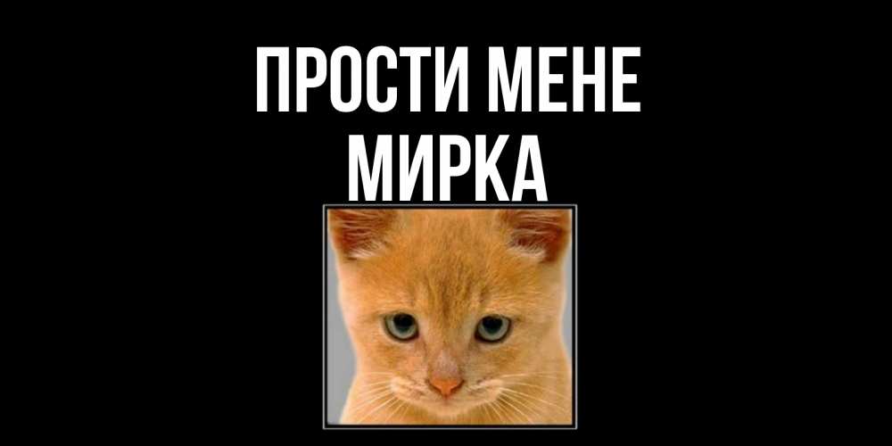 Открытка на каждый день з підписом, Мирка Прости мене рыжий грустный кот просит прощения Прикольна листівка з побажанням онлайн скачати безкоштовно 