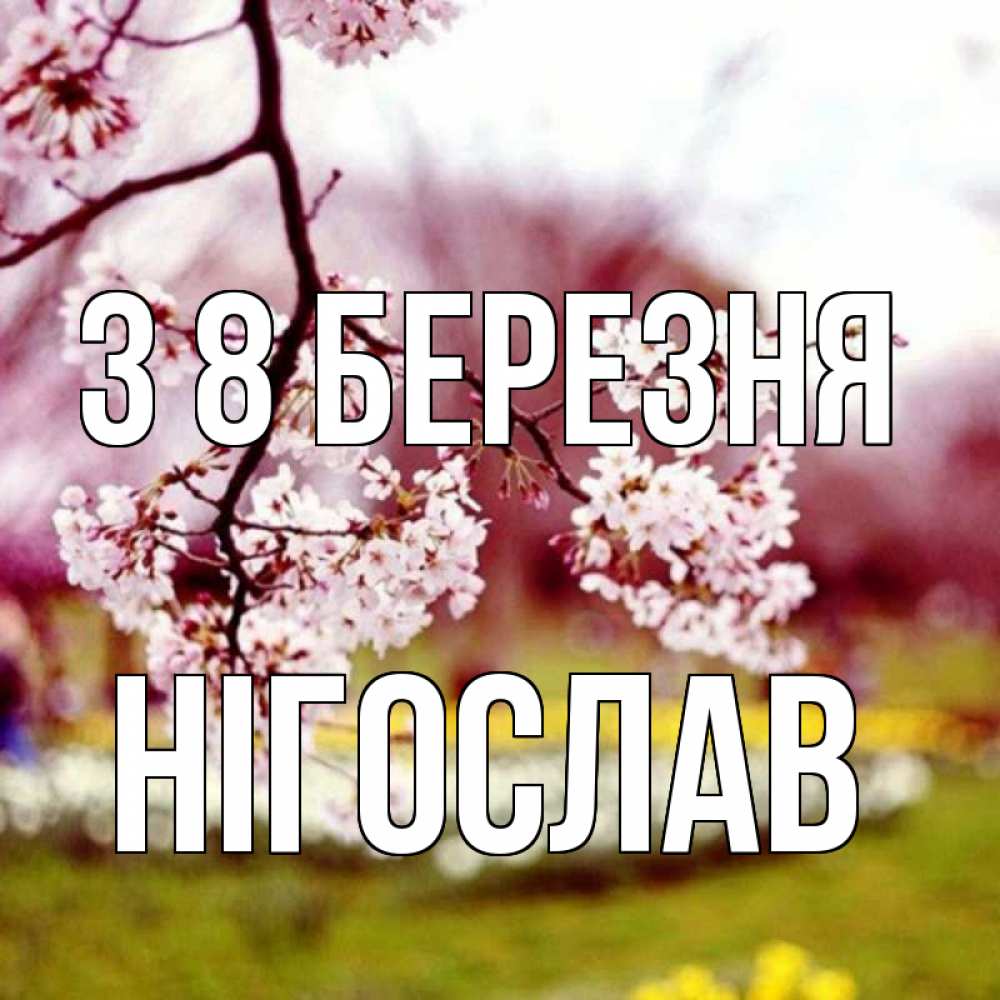 Открытка на каждый день з підписом, Нігослав З 8 БЕРЕЗНЯ яблоня Прикольна листівка з побажанням онлайн скачати безкоштовно 