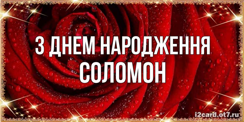 Открытка на каждый день з підписом, Соломон З Днем народження роса на розе блестящая в лучах солнца Прикольна листівка з побажанням онлайн скачати безкоштовно 