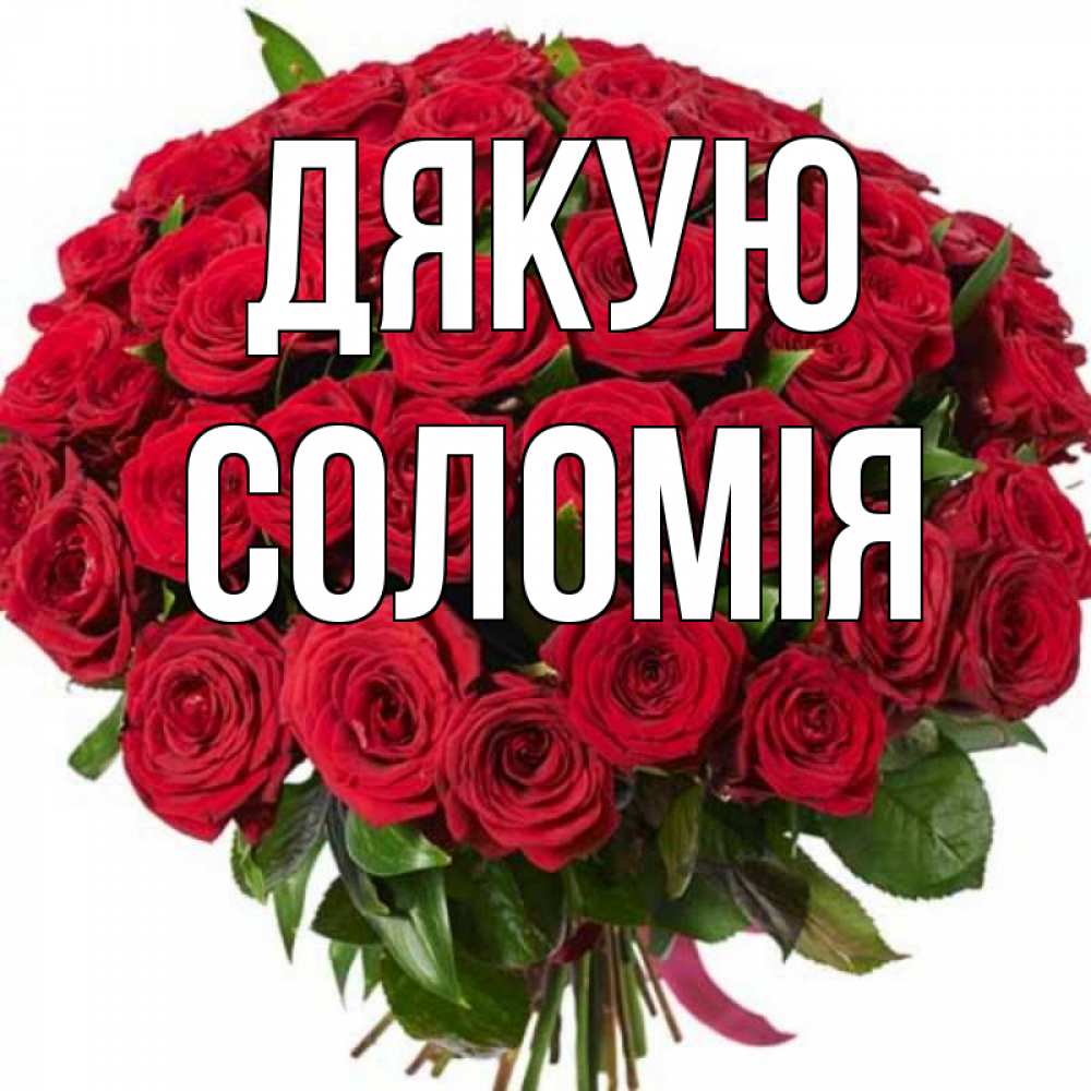 Открытка на каждый день з підписом, Соломія Дякую букет красных роз Прикольна листівка з побажанням онлайн скачати безкоштовно 