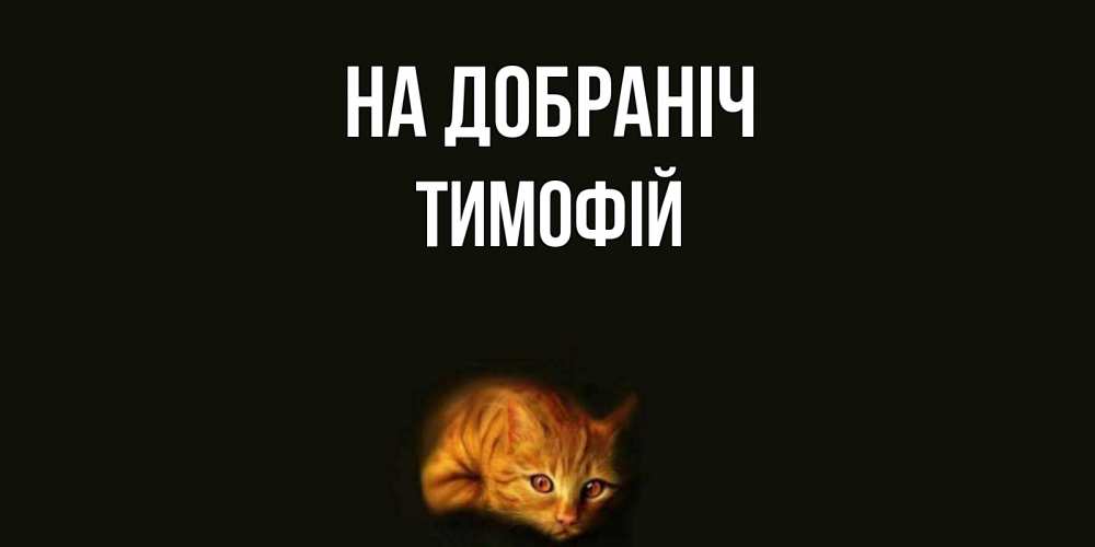 Открытка на каждый день з підписом, Тимофій На добраніч кот Прикольна листівка з побажанням онлайн скачати безкоштовно 