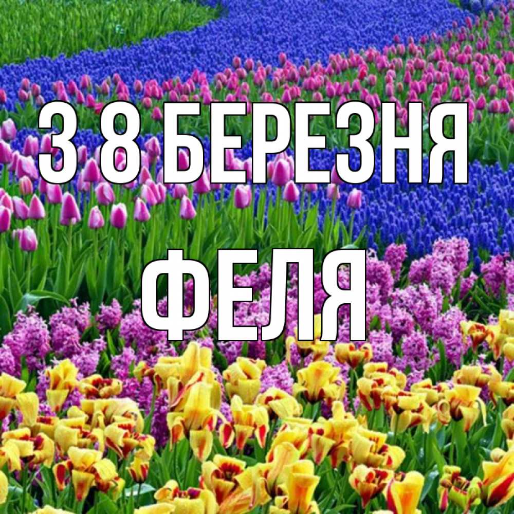 Открытка на каждый день з підписом, Феля З 8 БЕРЕЗНЯ цветы Прикольна листівка з побажанням онлайн скачати безкоштовно 