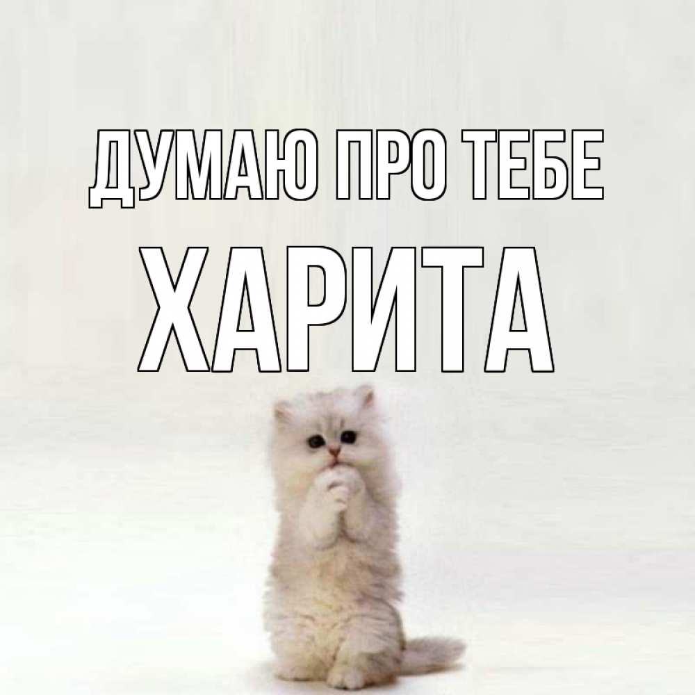 Открытка на каждый день з підписом, Харита Думаю про тебе кот стоит на задних лапах Прикольна листівка з побажанням онлайн скачати безкоштовно 