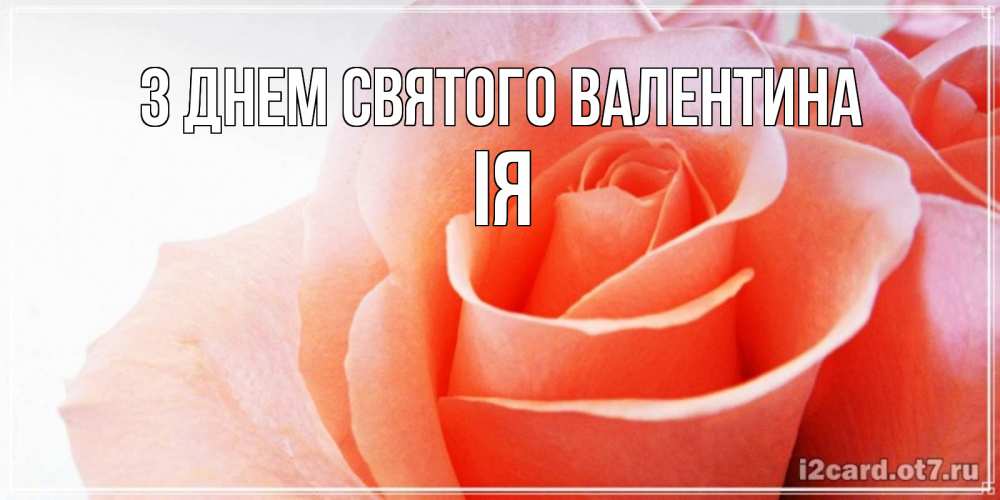Открытка на каждый день з підписом, Ія З Днем Святого Валентина открытка на день Святого Валентина с розовой розой Прикольна листівка з побажанням онлайн скачати безкоштовно 