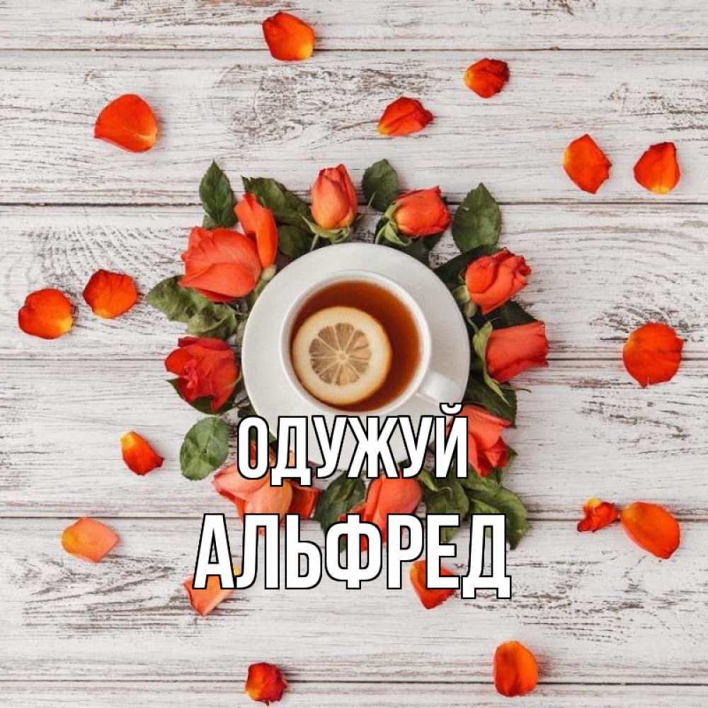 Открытка на каждый день з підписом, Альфред Одужуй фон из досок Прикольна листівка з побажанням онлайн скачати безкоштовно 
