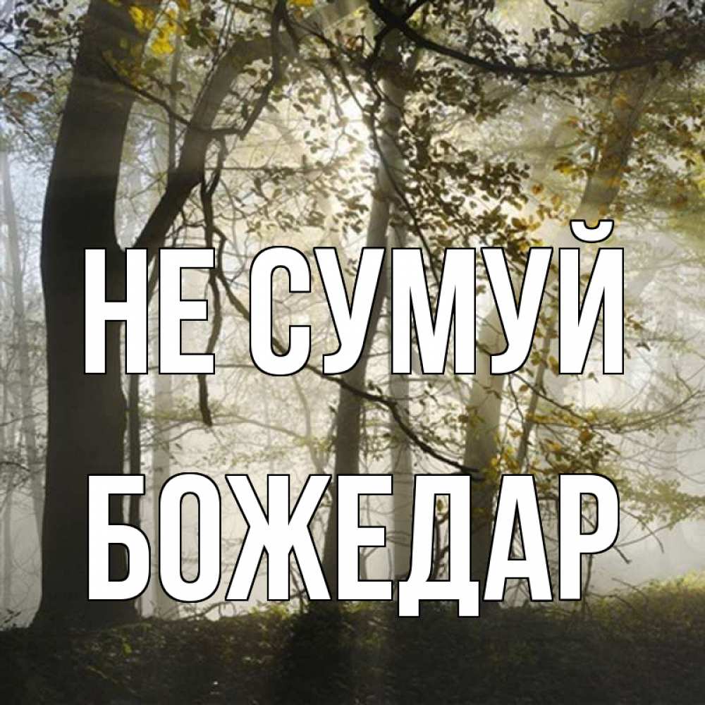 Открытка на каждый день з підписом, Божедар Не сумуй лес и свет Прикольна листівка з побажанням онлайн скачати безкоштовно 