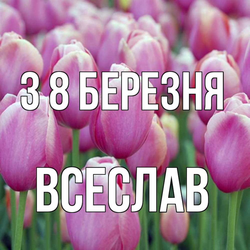 Открытка на каждый день з підписом, Всеслав З 8 БЕРЕЗНЯ на международный женский день 3 Прикольна листівка з побажанням онлайн скачати безкоштовно 