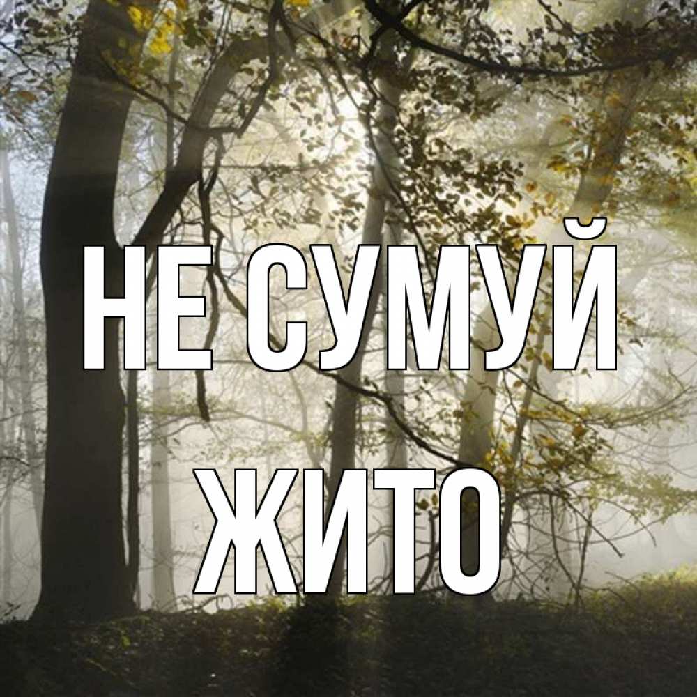Открытка на каждый день з підписом, Жито Не сумуй лес и свет Прикольна листівка з побажанням онлайн скачати безкоштовно 