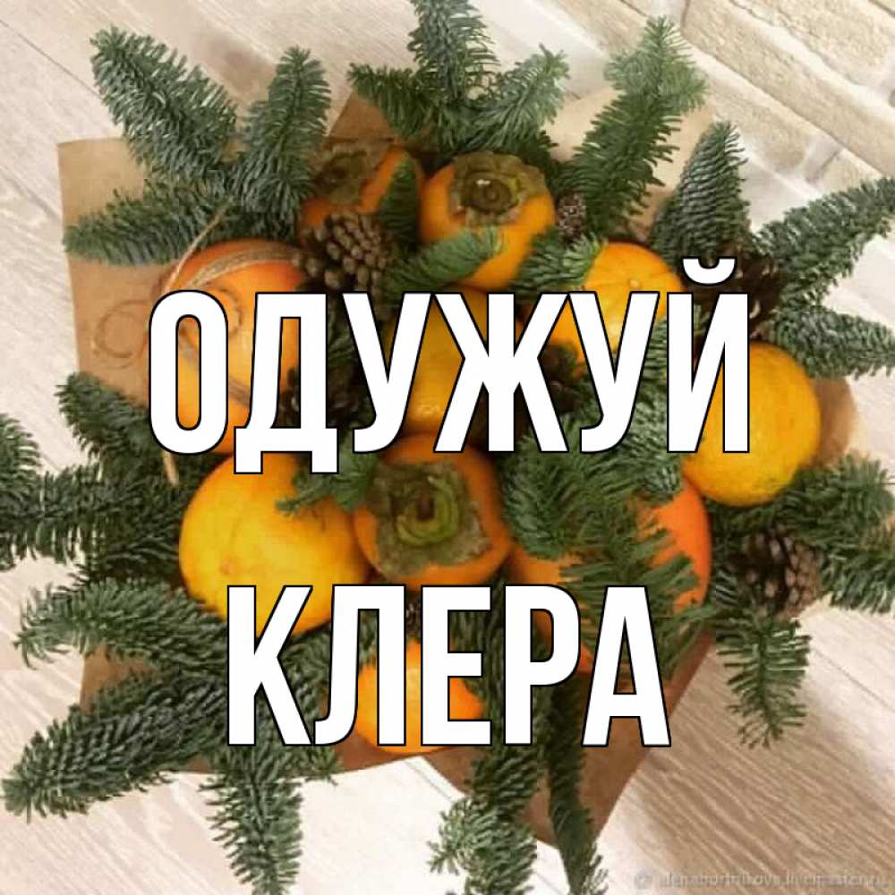 Открытка на каждый день з підписом, Клера Одужуй апельсины и хурьма Прикольна листівка з побажанням онлайн скачати безкоштовно 
