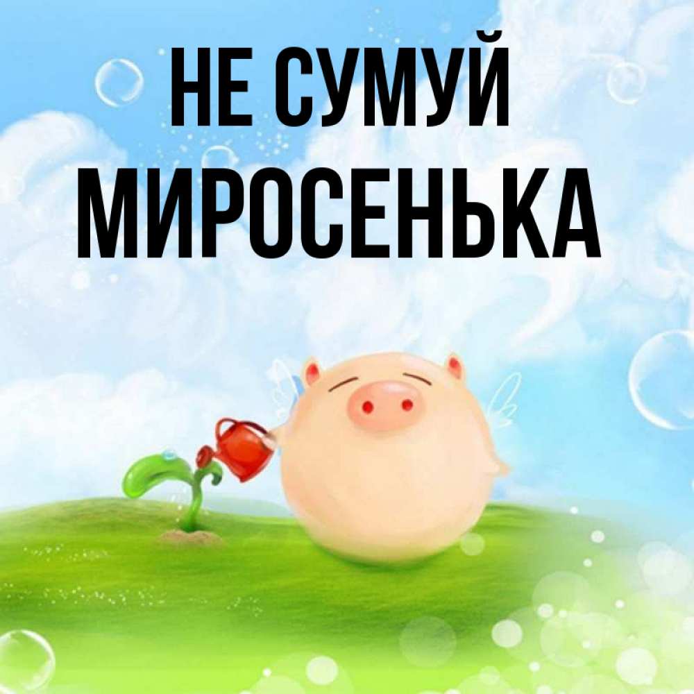 Открытка на каждый день з підписом, Миросенька Не сумуй поливает цветок порося Прикольна листівка з побажанням онлайн скачати безкоштовно 
