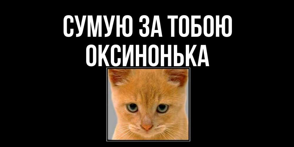 Открытка на каждый день з підписом, Оксинонька Сумую за тобою открытки рыжий котенок скучает по тебе Прикольна листівка з побажанням онлайн скачати безкоштовно 