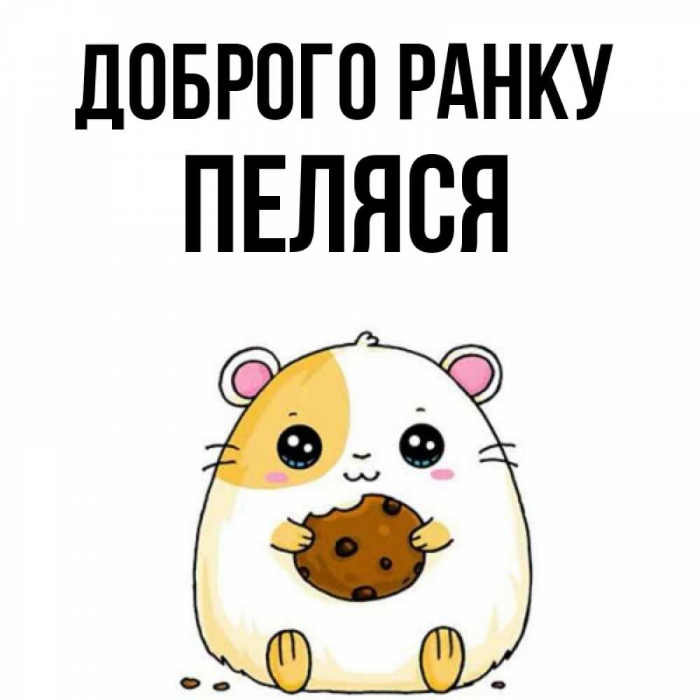 Открытка на каждый день з підписом, Пеляся Доброго ранку есть печеньку. Утречко Прикольна листівка з побажанням онлайн скачати безкоштовно 