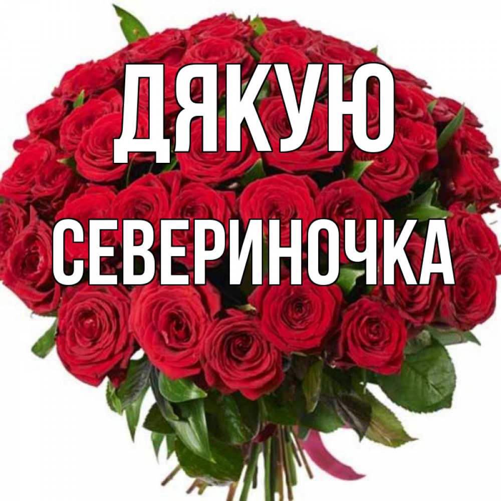 Открытка на каждый день з підписом, Севериночка Дякую букет красных роз Прикольна листівка з побажанням онлайн скачати безкоштовно 