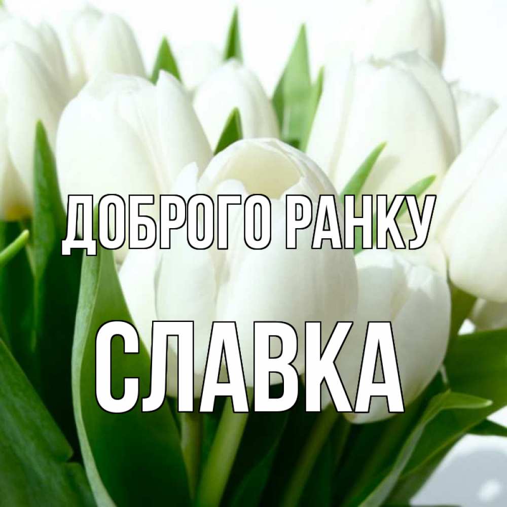 Открытка на каждый день з підписом, Славка Доброго ранку открытки на каждый день по именам Прикольна листівка з побажанням онлайн скачати безкоштовно 