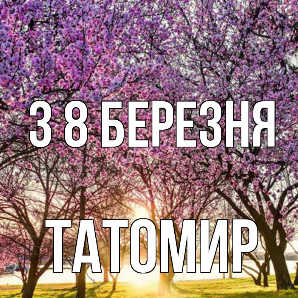 Открытка на каждый день з підписом, Татомир З 8 БЕРЕЗНЯ международный женский день Прикольна листівка з побажанням онлайн скачати безкоштовно 