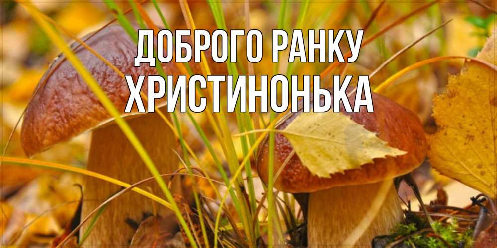 Открытка на каждый день з підписом, Христинонька Доброго ранку осенние грибы Прикольна листівка з побажанням онлайн скачати безкоштовно 
