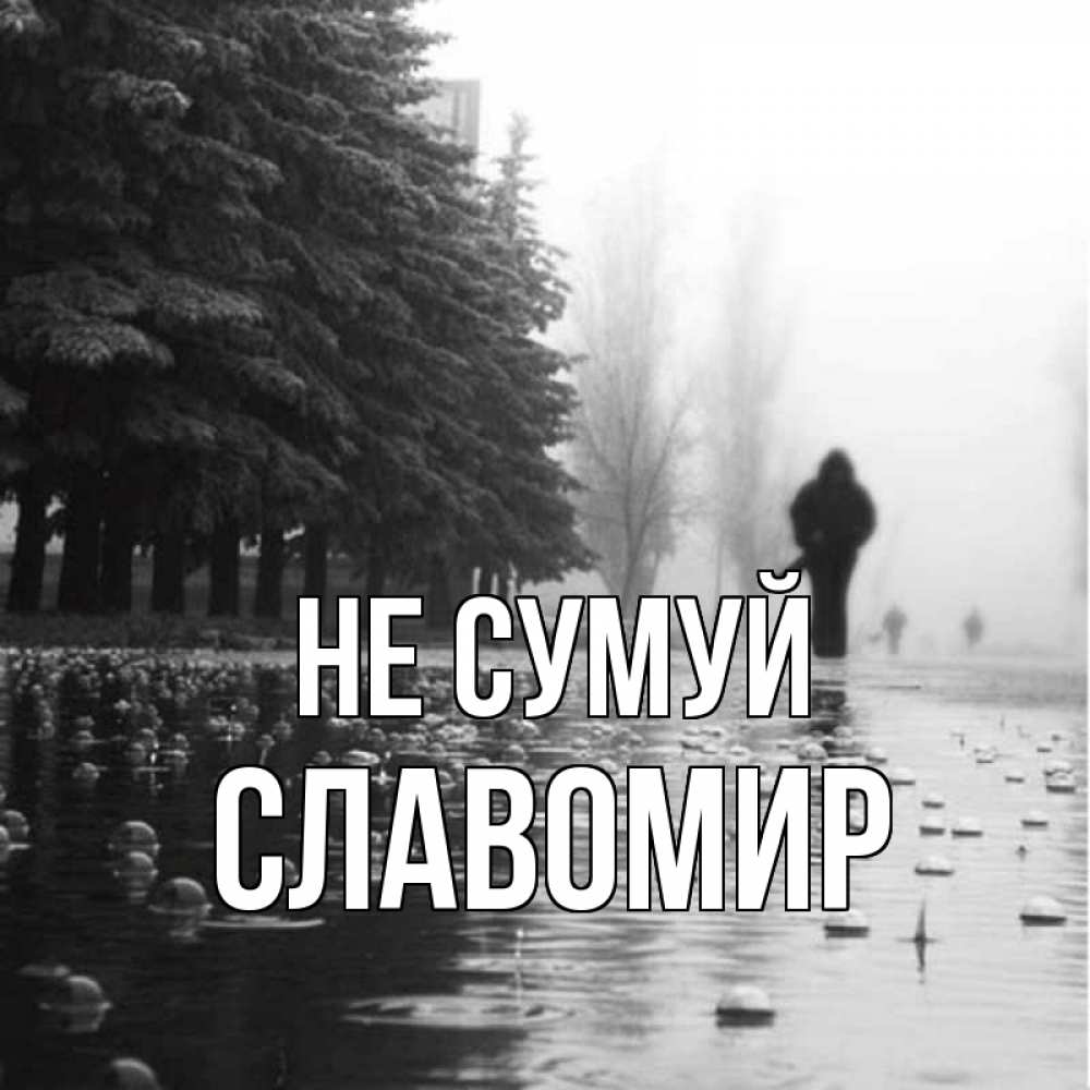 Открытка на каждый день з підписом, Славомир Не сумуй улица под дождем Прикольна листівка з побажанням онлайн скачати безкоштовно 