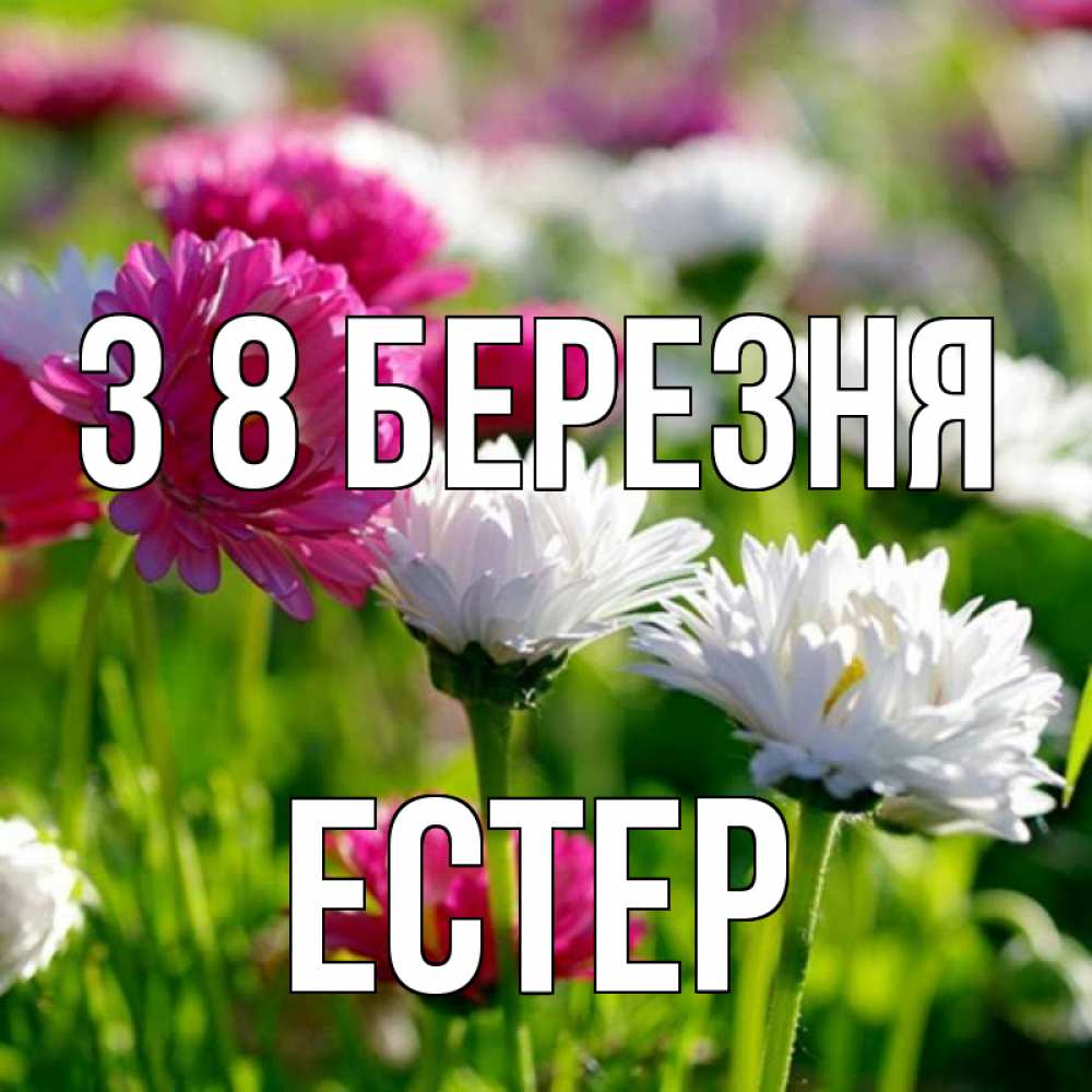 Открытка на каждый день з підписом, Естер З 8 БЕРЕЗНЯ международный женский день 1 Прикольна листівка з побажанням онлайн скачати безкоштовно 