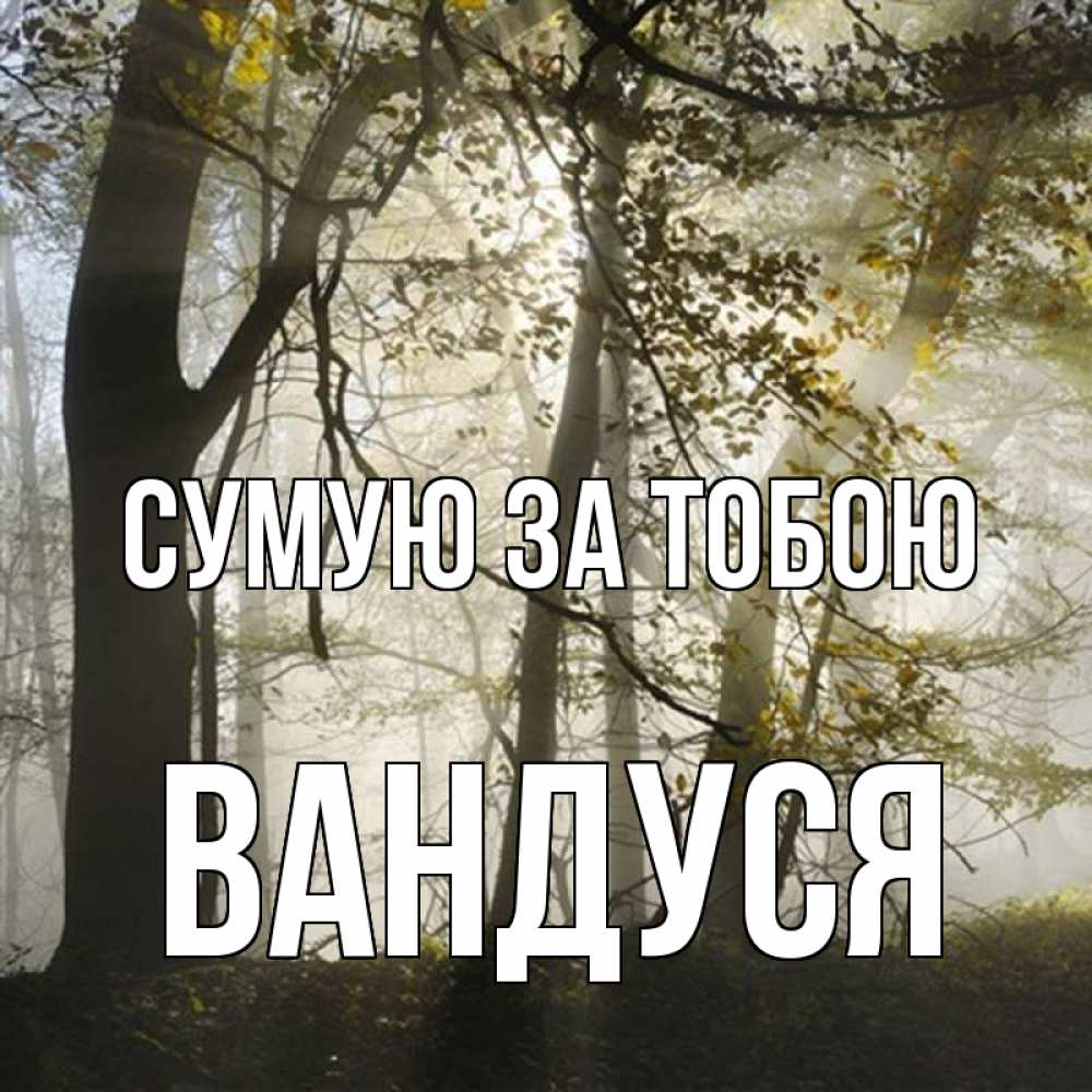 Открытка на каждый день з підписом, Вандуся Сумую за тобою грустно Прикольна листівка з побажанням онлайн скачати безкоштовно 