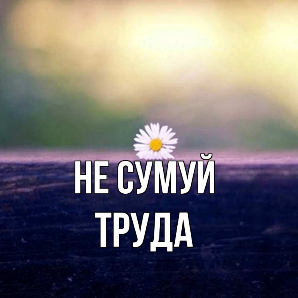 Открытка на каждый день з підписом, Труда Не сумуй красота Прикольна листівка з побажанням онлайн скачати безкоштовно 